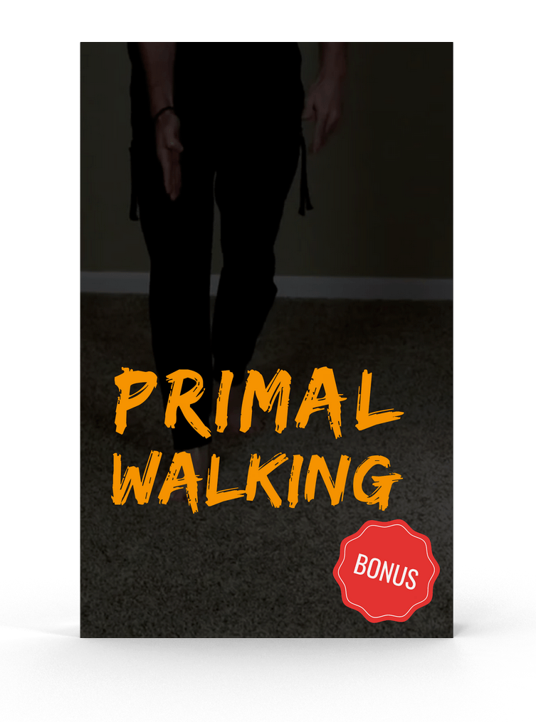 Primal Movement 101 Primal Body Academy